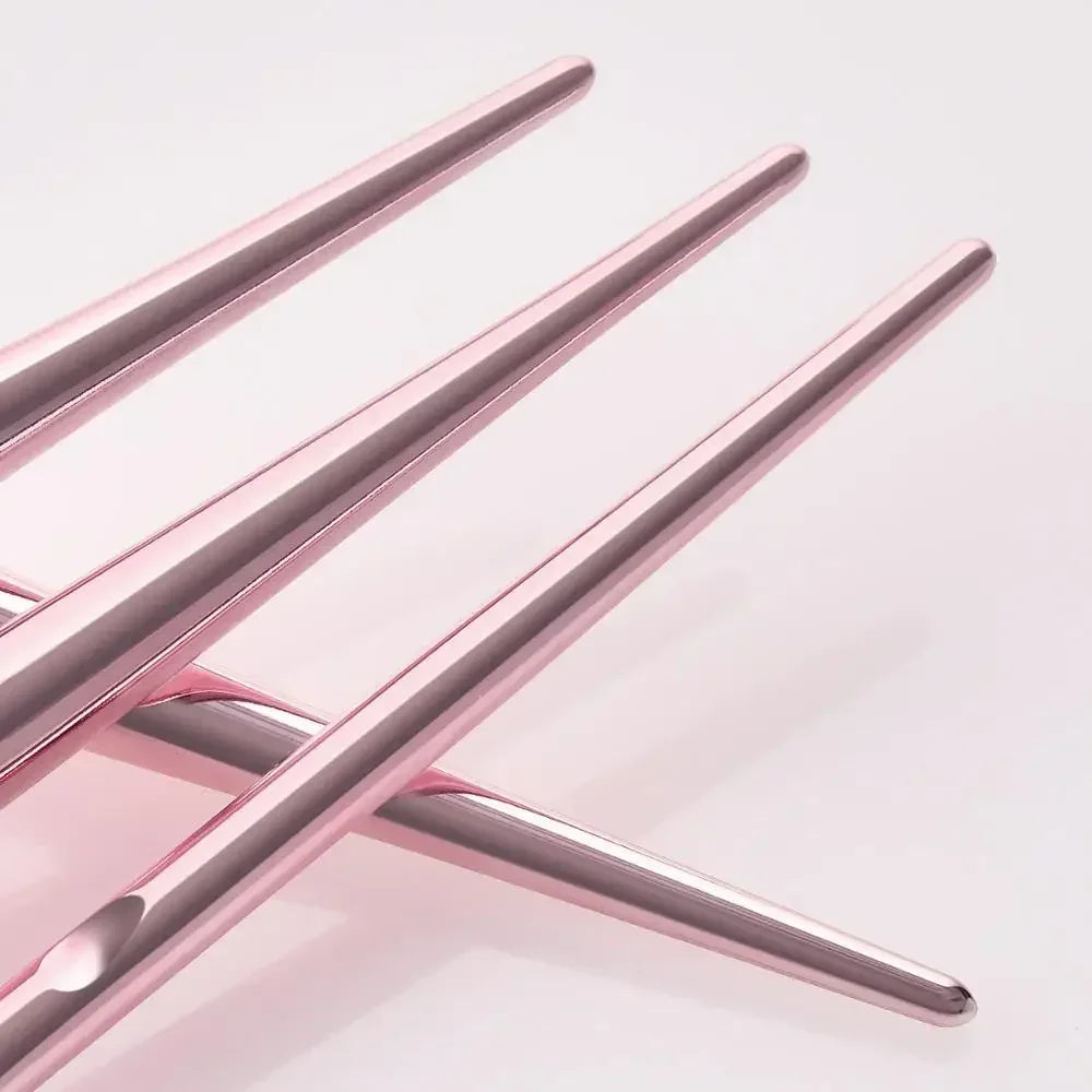 10 Pcs Pro Makeup Brushes Set With Bag Foundation Eyebrow Eyeshadow Tools For Professionals And Everyday Makeup